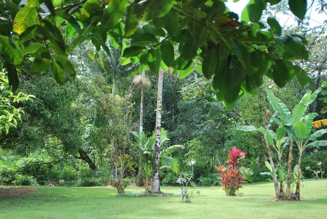 The Kimos' Ohanas B&B Pahoa Bed & Breakfast